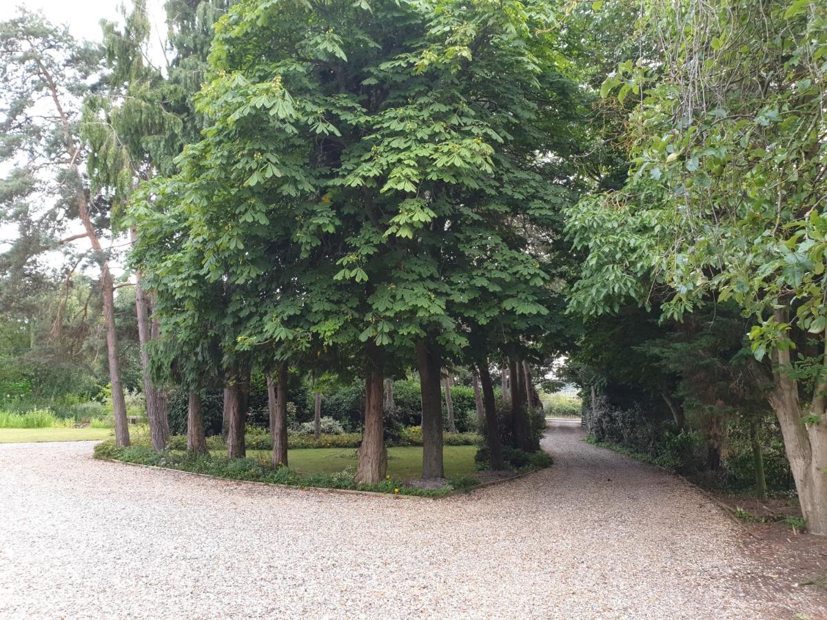 The Reading Whole Chalet With Lake And Two Acre Gardens Zewnętrze zdjęcie