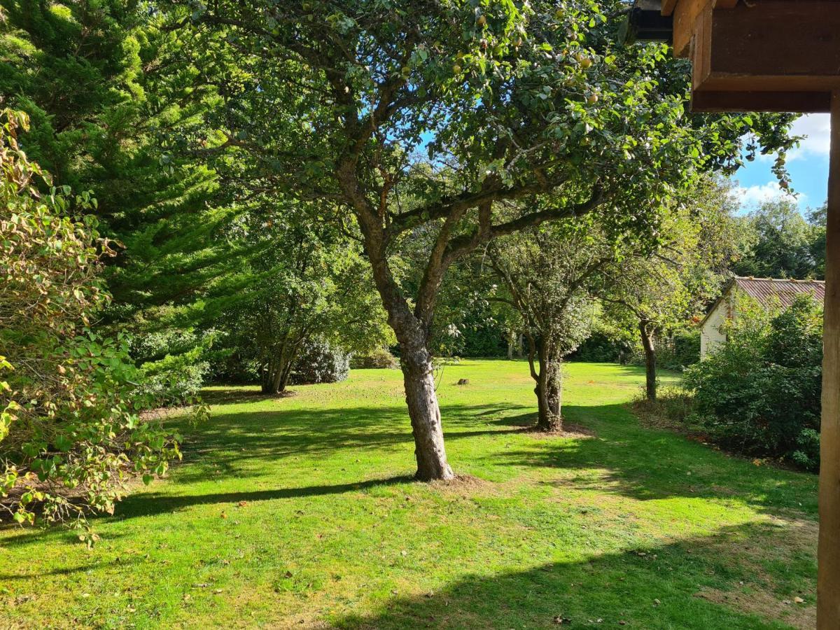 The Reading Whole Chalet With Lake And Two Acre Gardens Zewnętrze zdjęcie